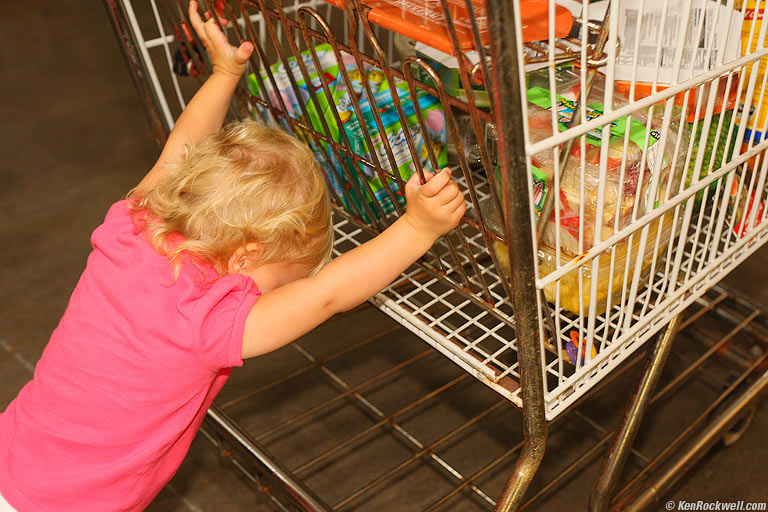 Samples, Costco, Maui. 12:25 PM.