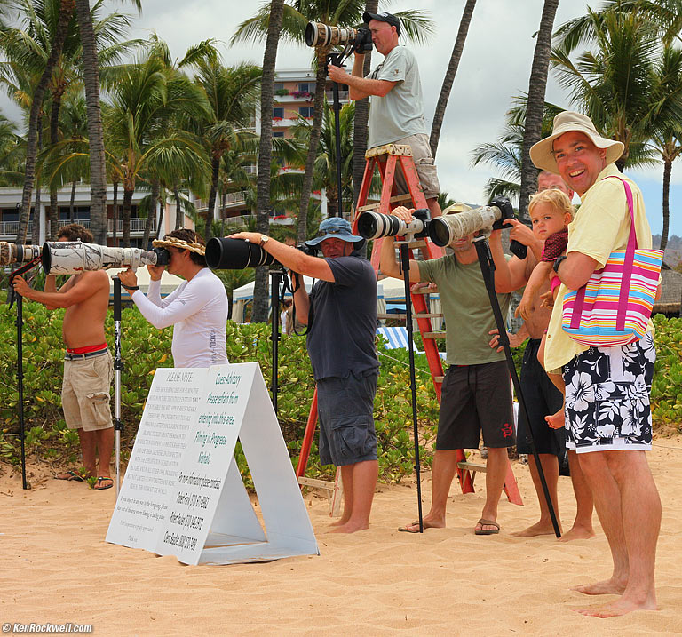 Katie and Dada among the paparazzi, Wailea Beach, Maui. 11:21 AM.