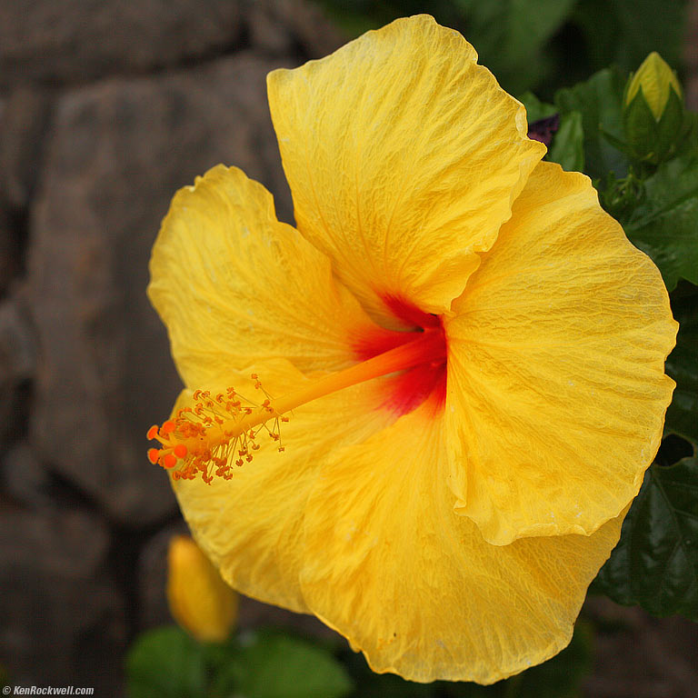 Katie. Wailea, Maui. 3:06 PM.