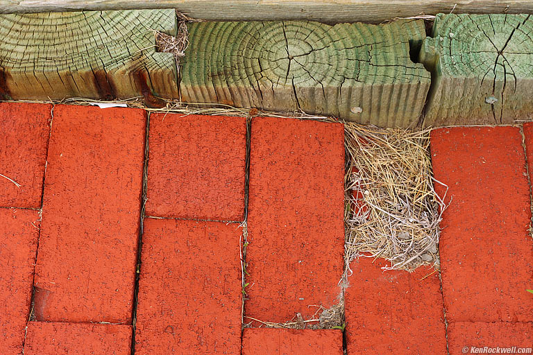 Bricks, Colonial Shores, Hampton Bays, Long Island, 1:23 PM.