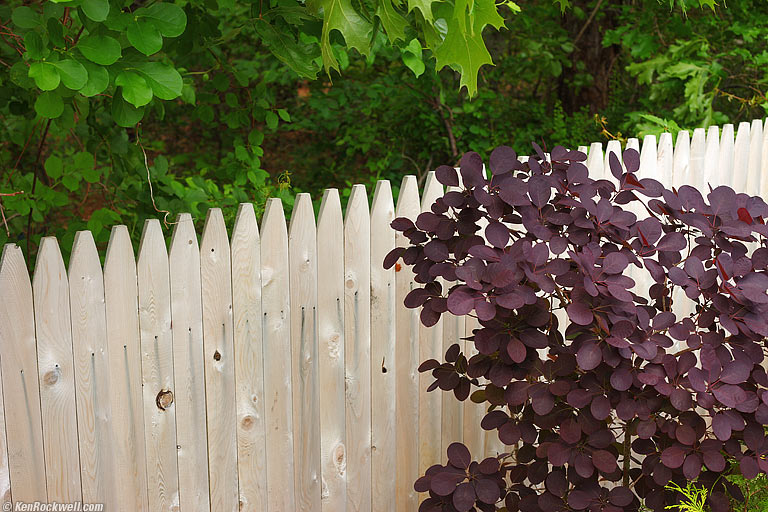 Green and Purple, Colonial Shores, Hampton Bays, Long Island, 1:29 PM.