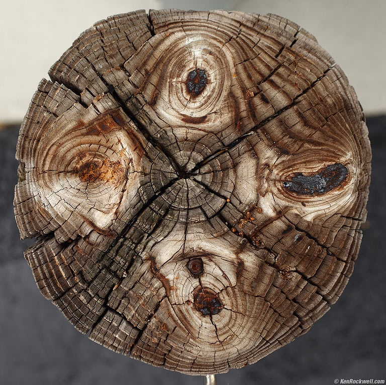 Parking Stump, Colonial Shores, Hampton Bays, Long Island, 1:37 PM.