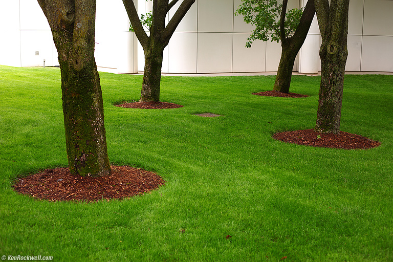 Green, Richard Meier, Bridgeport, Connecticut, 12:23 PM.