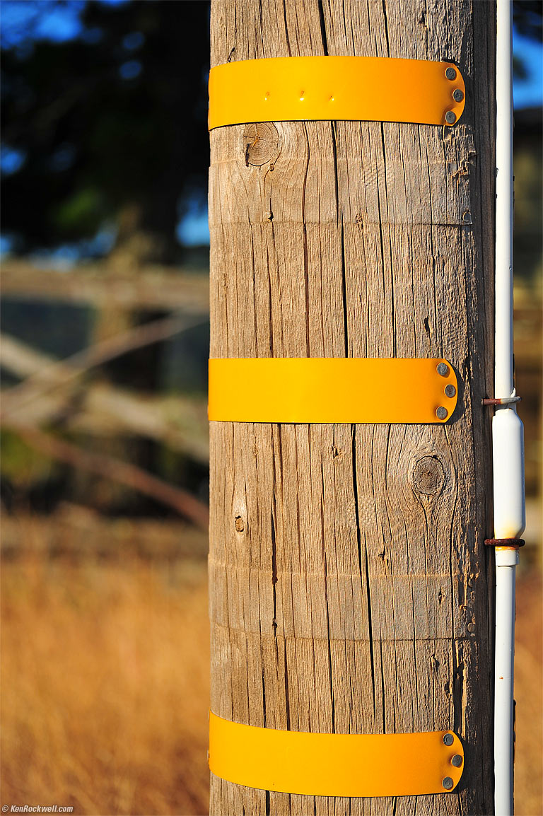Pole, Prefumo Canyon, San Luis Obispo, California, 7:52 AM.
