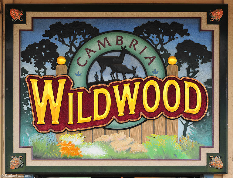 Cambria, California, 10:06 AM.