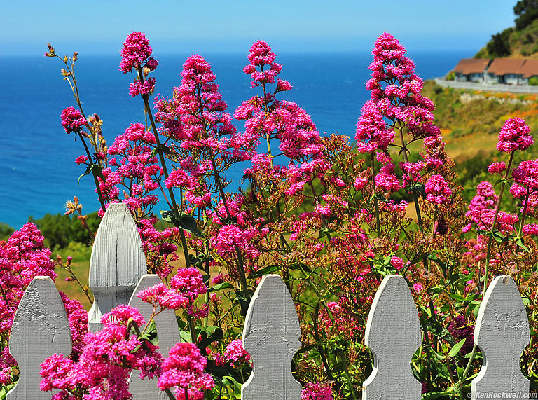 Lucia, California, 11:53 AM.