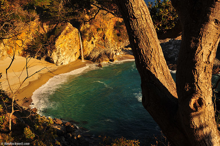 McWay Falls and Tree, Big Sur, California, 6:46 PM.