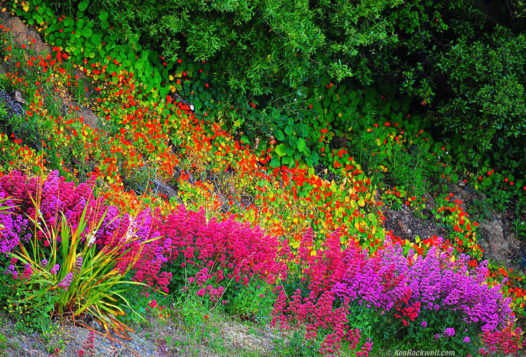 Lucia, California, 7:58 PM.