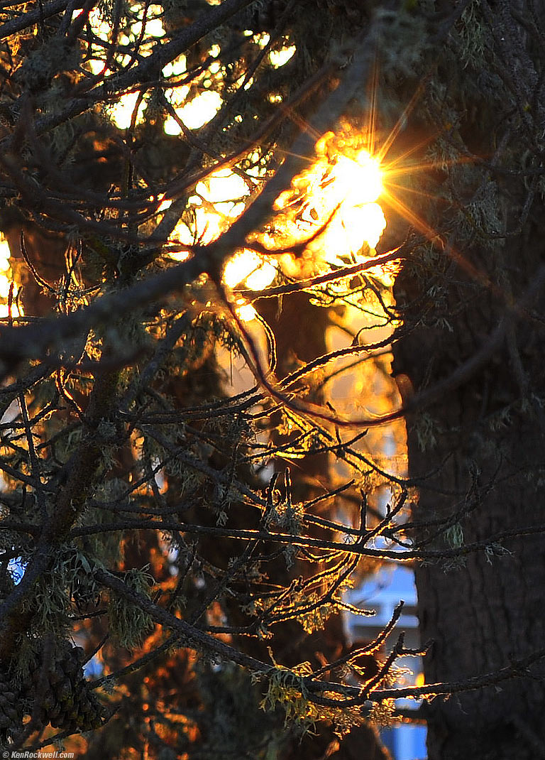 Crop from Above, San Simeon, California, 7:57 PM.