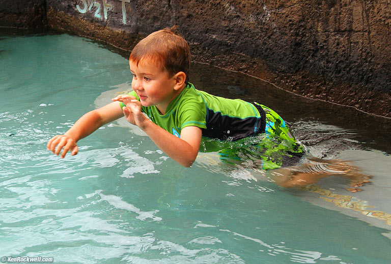 Ryan dives, 1 of 4, 2:45 PM.