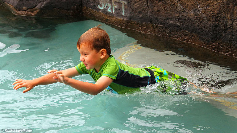 Ryan dives, 2 of 4, 2:45 PM.