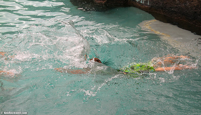 Ryan dives again, 4 of 4, 2:53 PM.