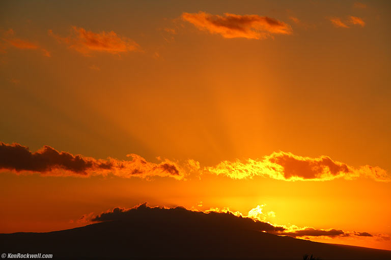 Obligatory hibiscus, 9:09 AM.