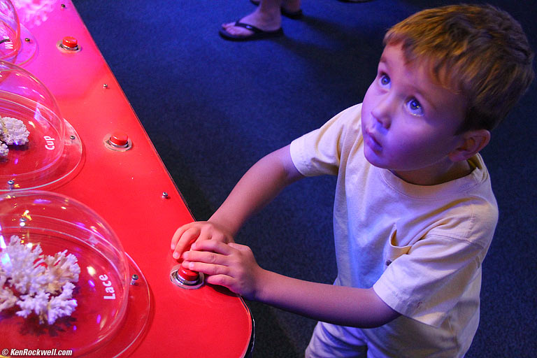 Ryan checks out the coral exhibit, Maui Ocean Center, 1:36 PM. 