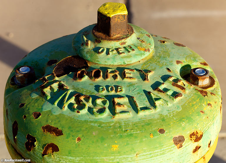 Green Mushroom, 7:45 AM. (Auto ISO 160, Auto 1/125, 1960 LEICA ELMARIT 90mm f/2.8.)