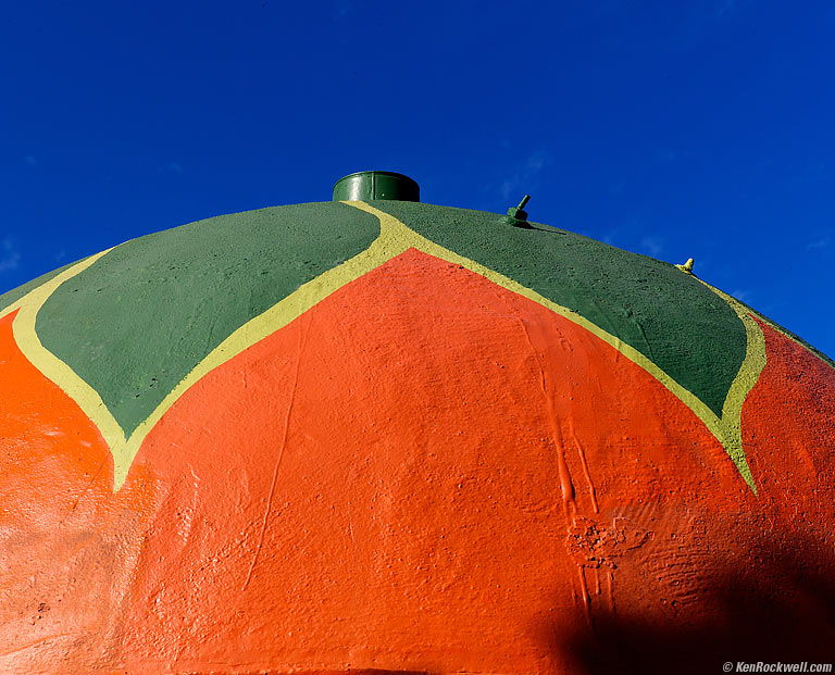 Bono's Historic Orange
