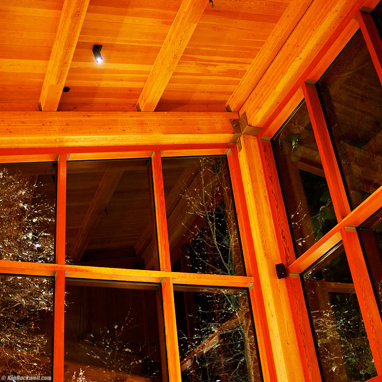 Forest Matrix, The Mountain Room, Yosemite