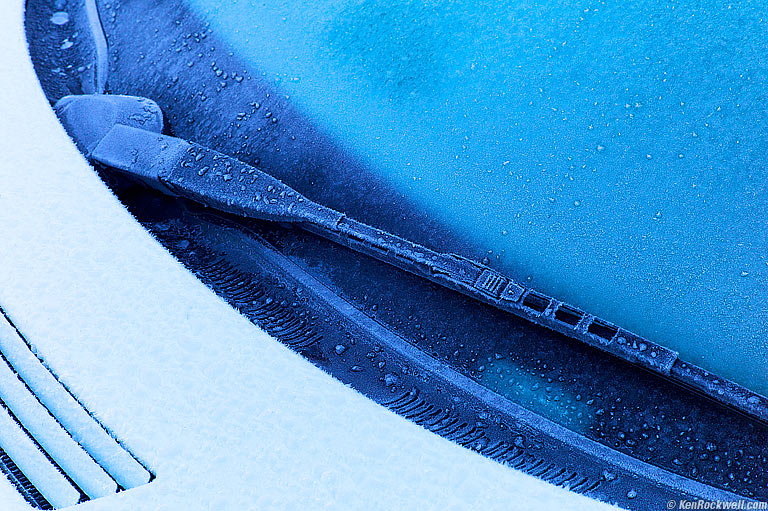 Trees in Snow, Yosemite