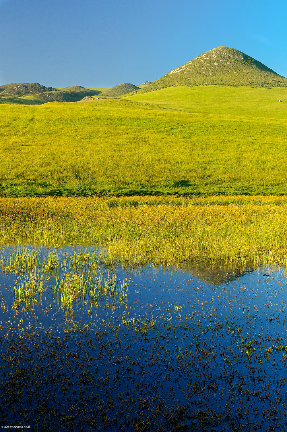 Green Grassy Knoll and Vernal Pool, San Luis Obispo