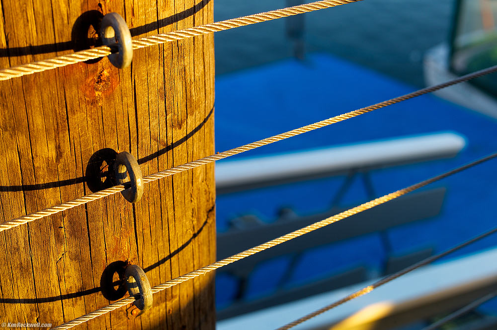 Green Grassy Knoll and Vernal Pool, San Luis Obispo