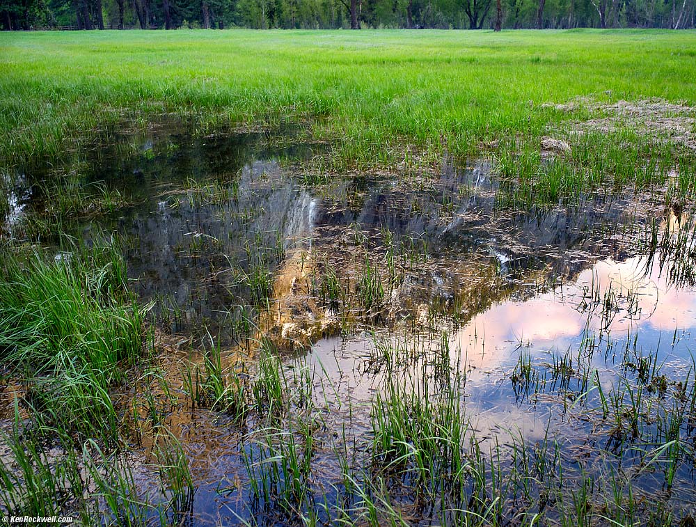 Vernal Pool, Yosemite Valley
