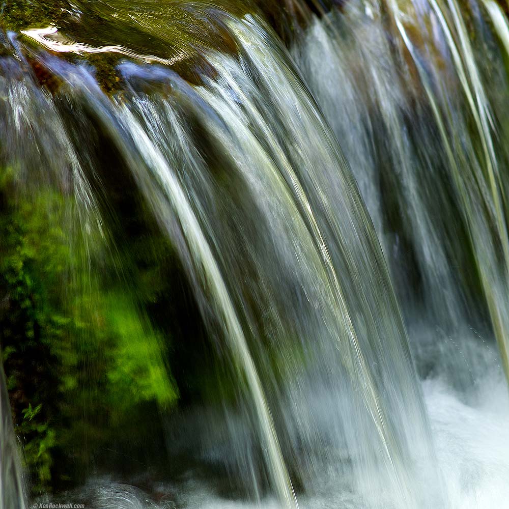 Fern Spring, Yosemite Valley