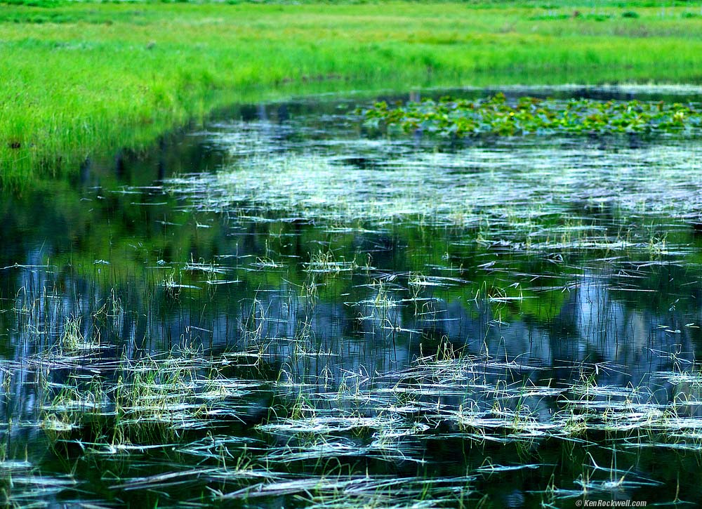 Another Vernal Pool, Yosemite Valley