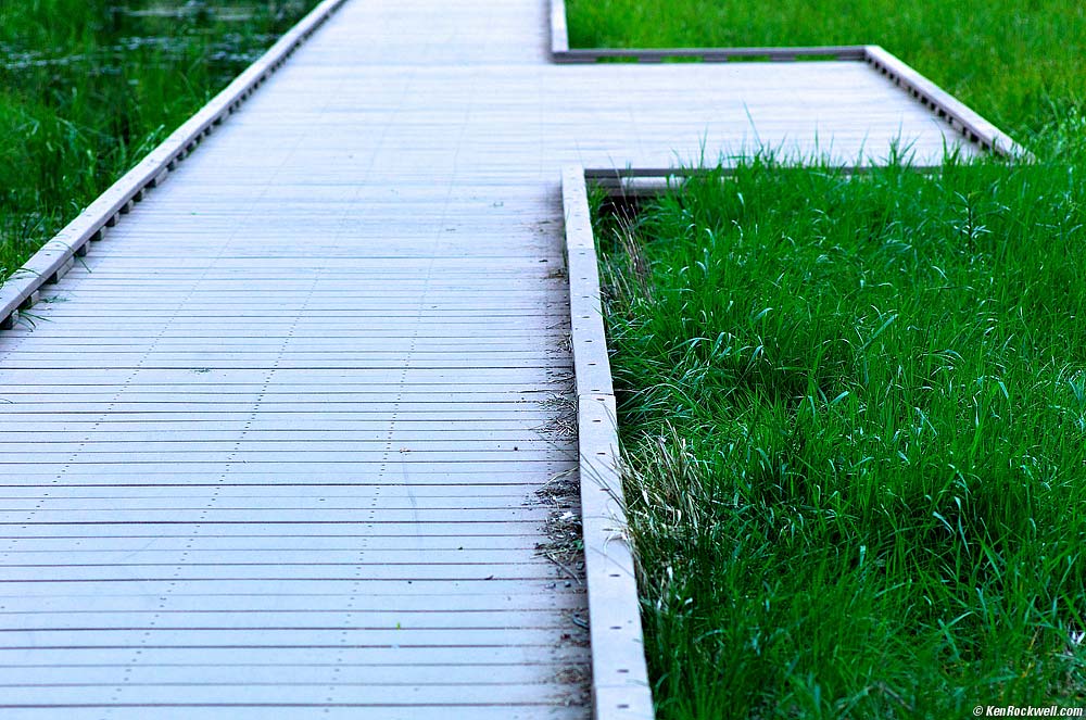 Plastic Walkway, Yosemite Valley