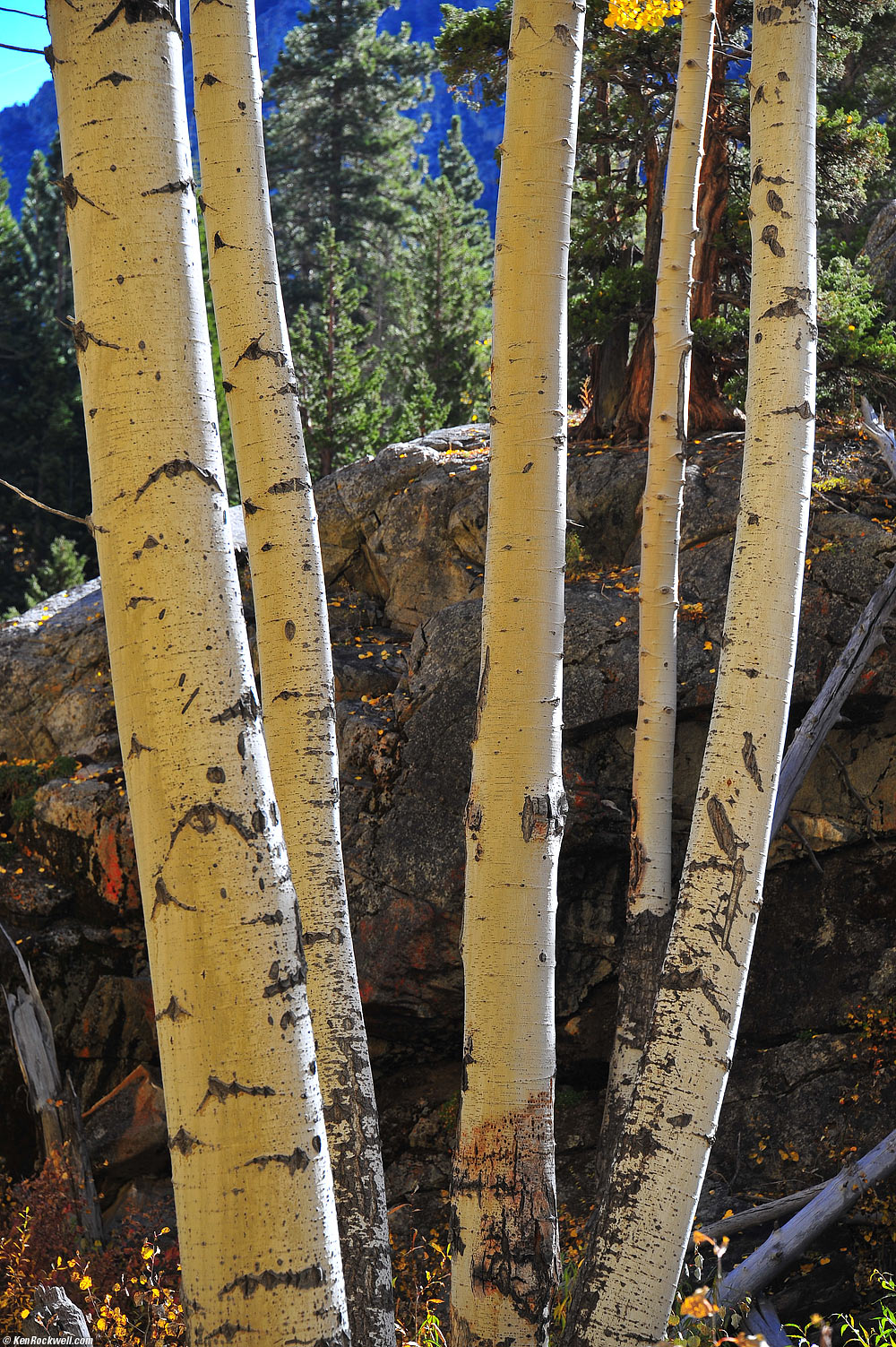 Aspen Clich&eacute;e, Lundy Lake