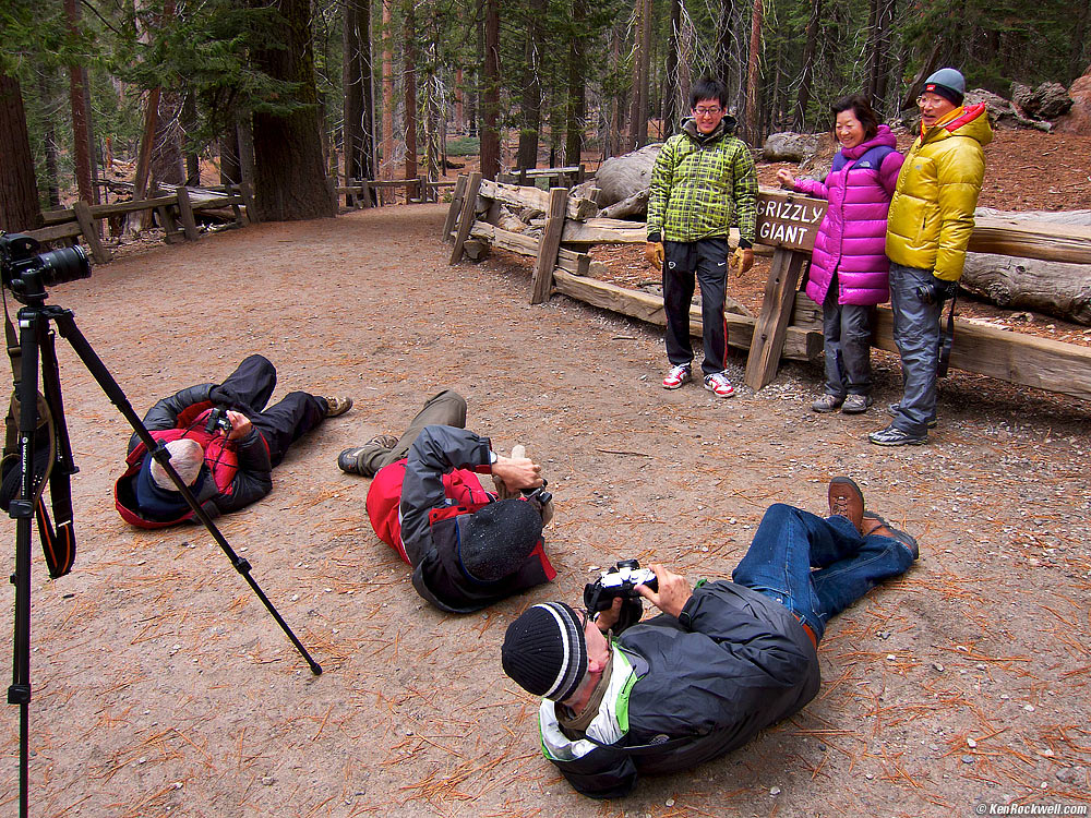 More Horseplay at the Big Trees, 2:23 PM