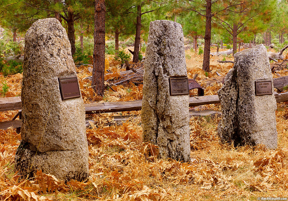 Three Men, Foresta 11:44 AM