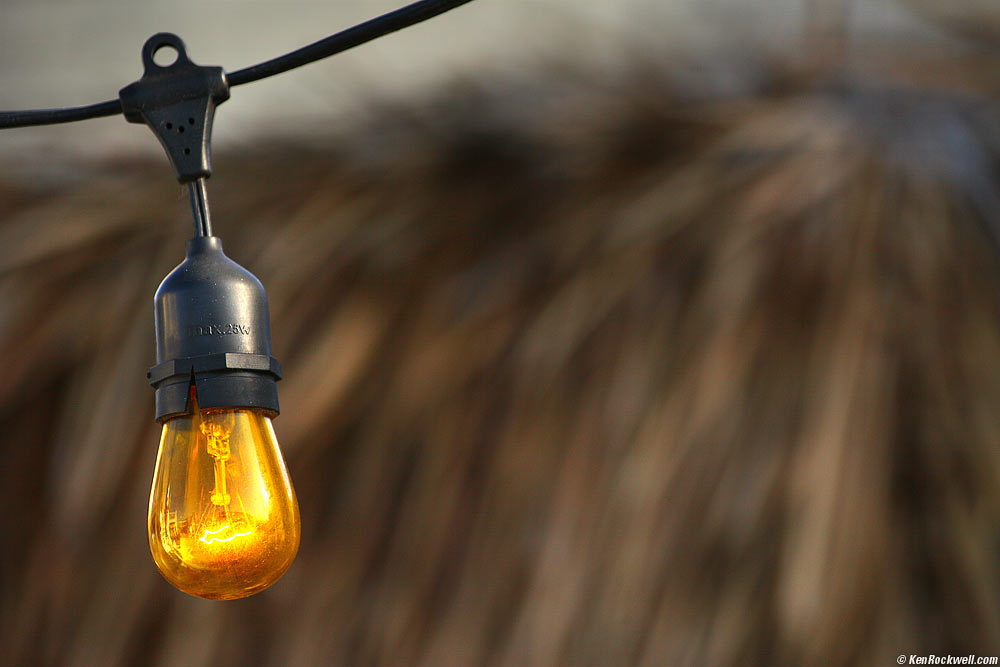 Bright Idea, Oceanside Harbor