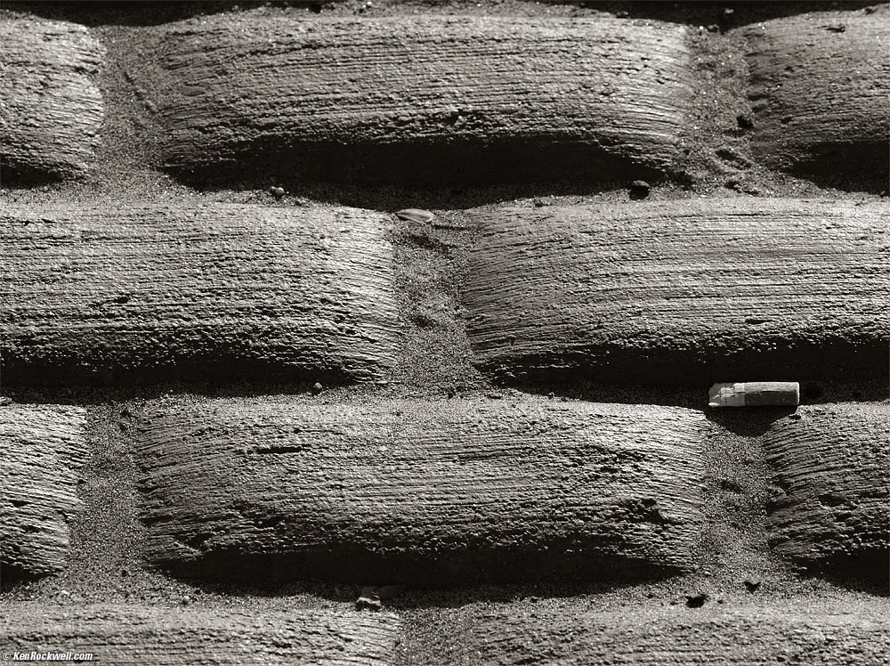 Pig Dropping, Oceanside Harbor