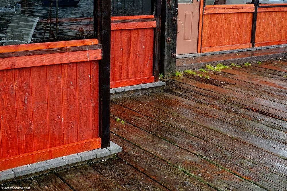 Red and Brown, Port San Luis Harbor