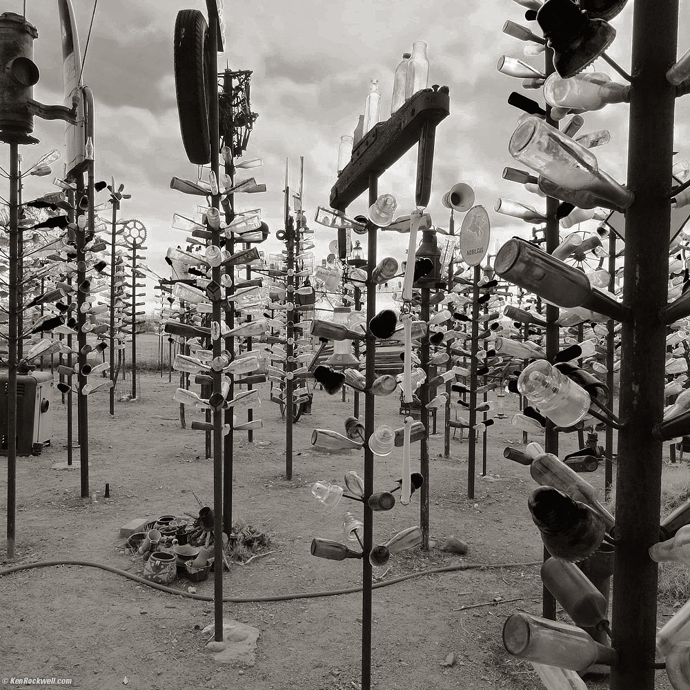 Elmer's Bottle Tree Farm.