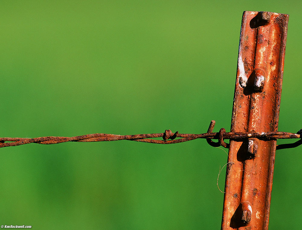 Red Fence against Green, San Simeon Creek Road