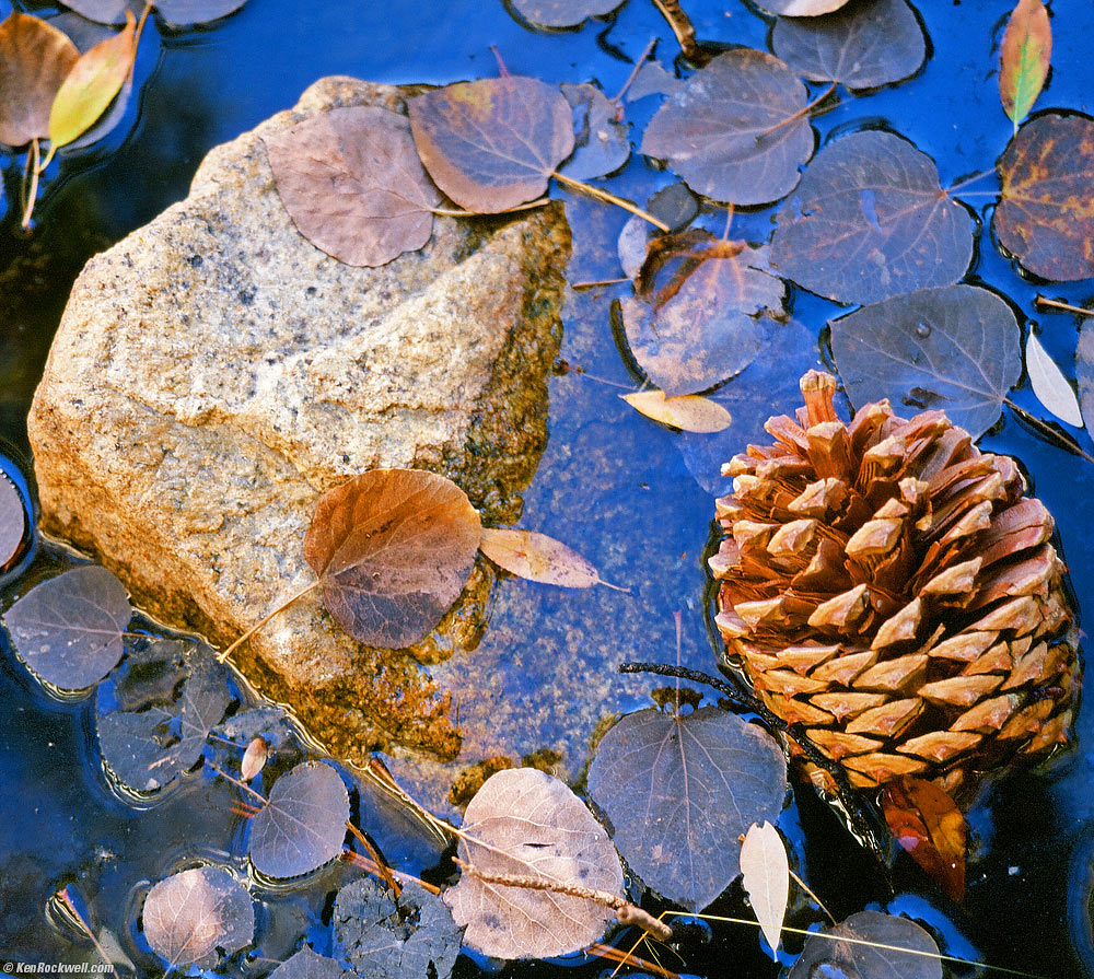 Pine and Stone, Lee Vining Creek