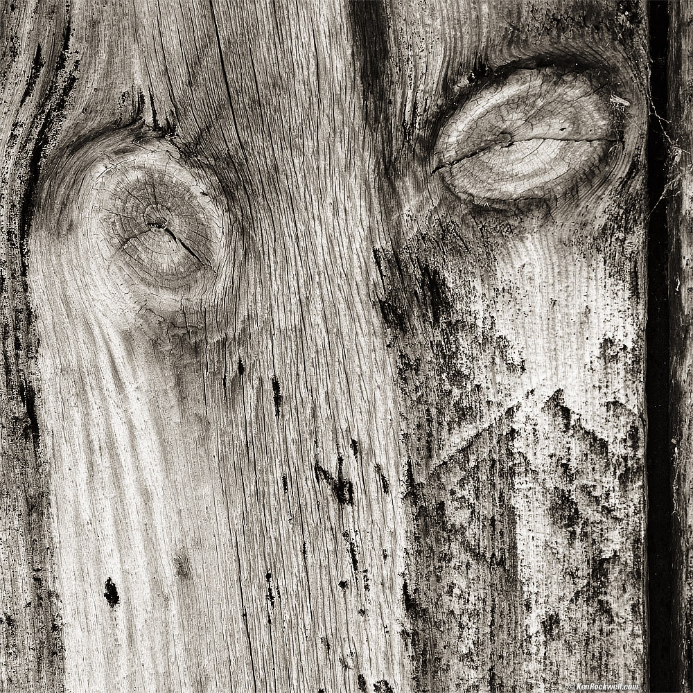 Crying Eyes for the Ignorance of Socialists, Devil's Ranch