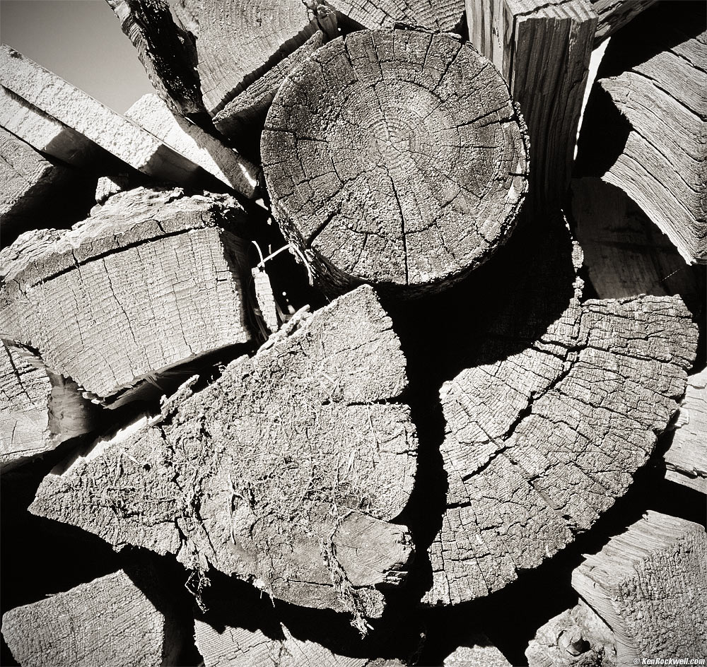 Cut Wood Ends, Bodie