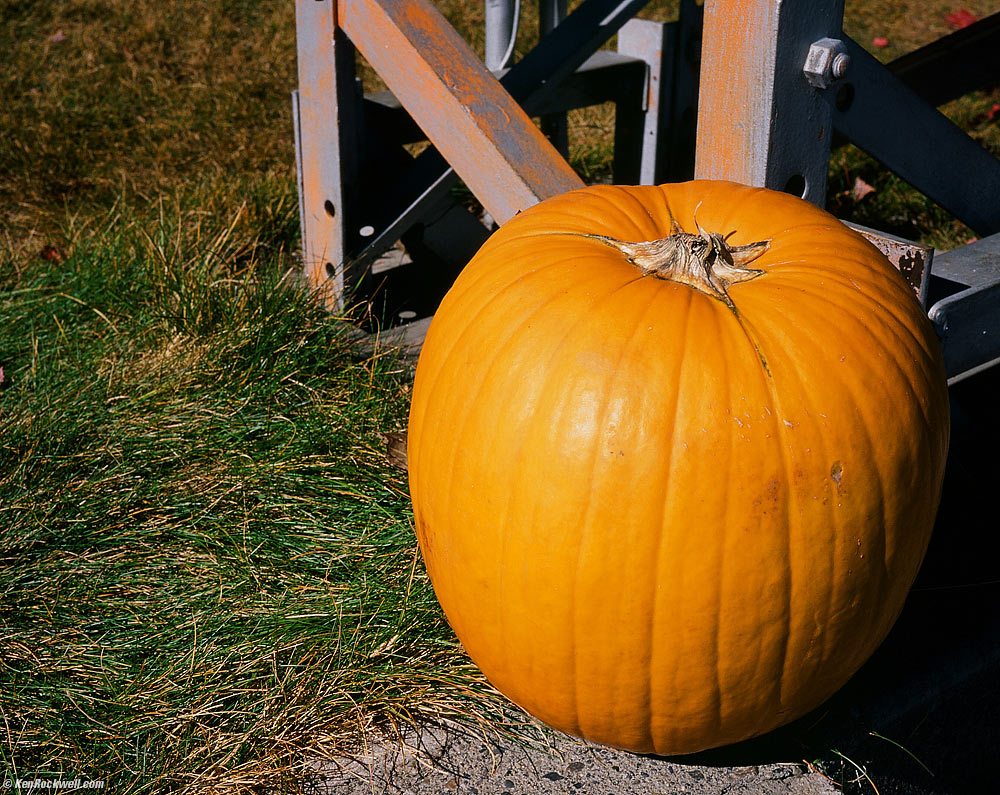 Pumpkin on the Grass Below the Giant Vacancy Sign, Lee Vining