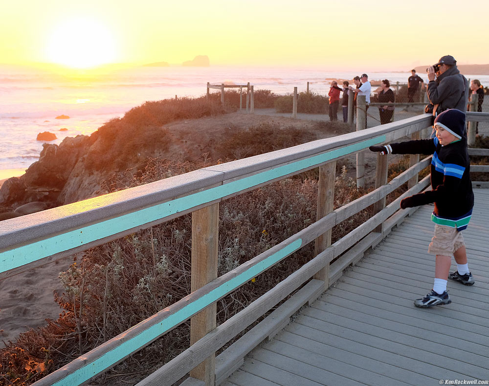 Ryan Shows the Lengths of the Dada, Mama and Baby Elephant Seals, Piedras Blancas, 
