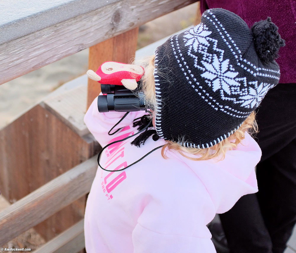 Katie Checks Out the Elephant Seals, Piedras Blancas,