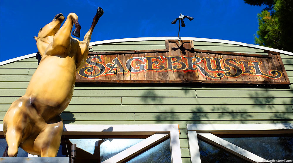 Sagebrush Cantina with Horse