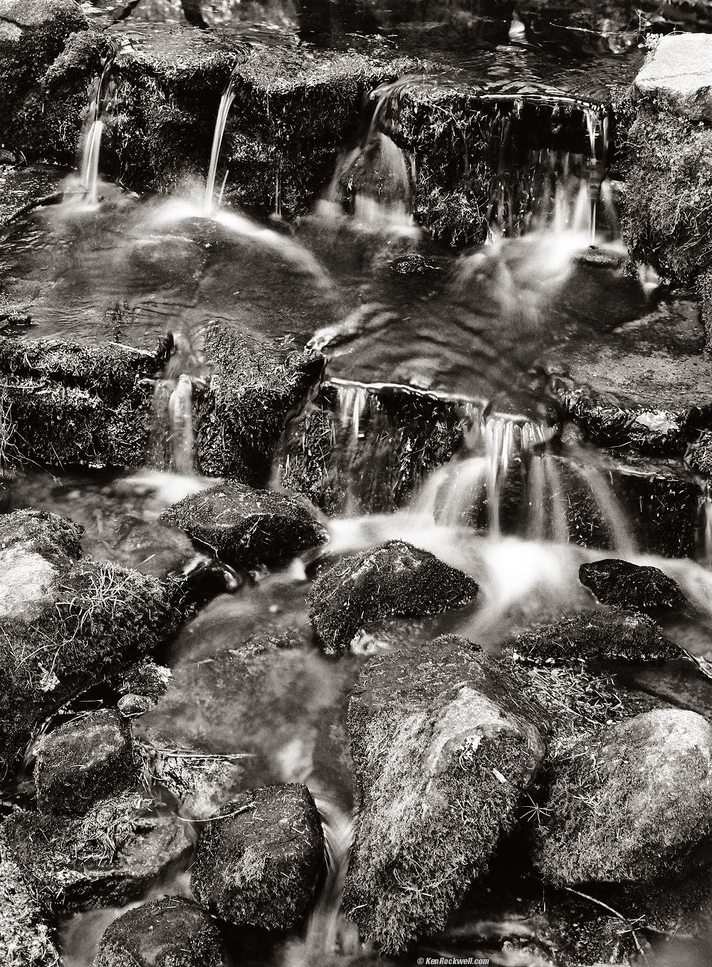 Fern Springs, Yosemite Valley