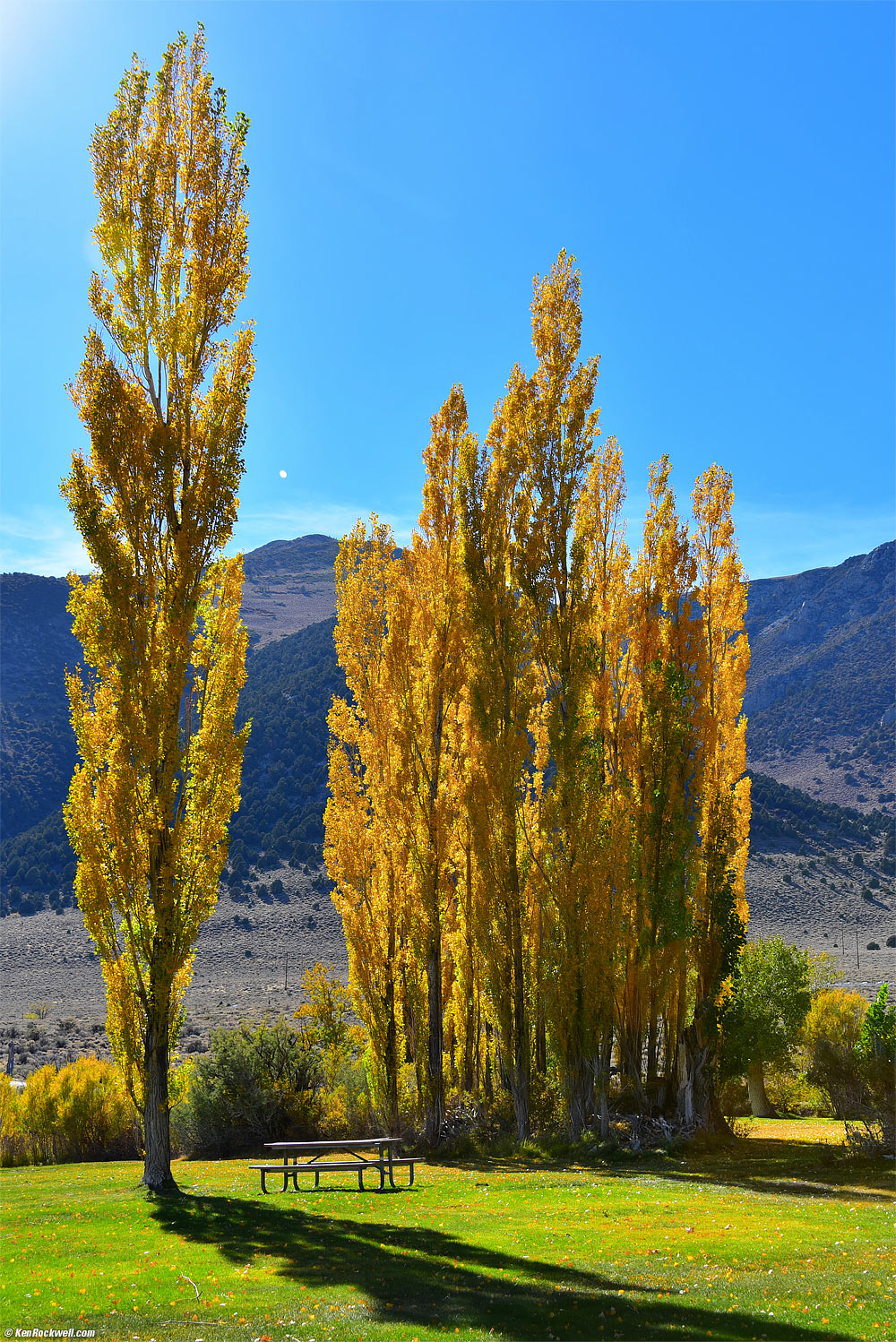 Picnic in Light, County Park, Mono Lake