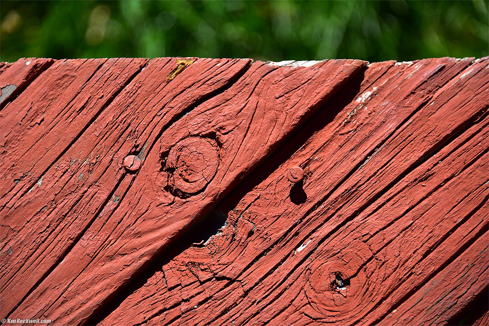 Red Wood on Green, County Park, Mono Lake