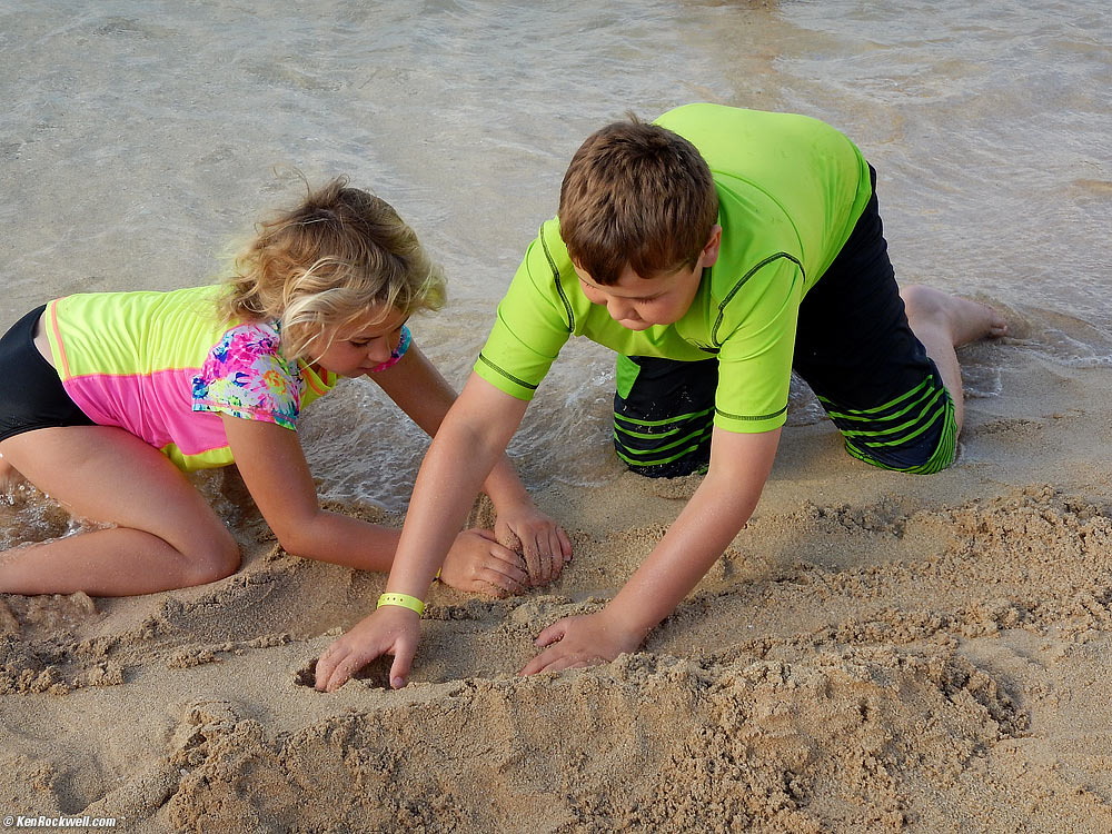 Kids playing at the beach
