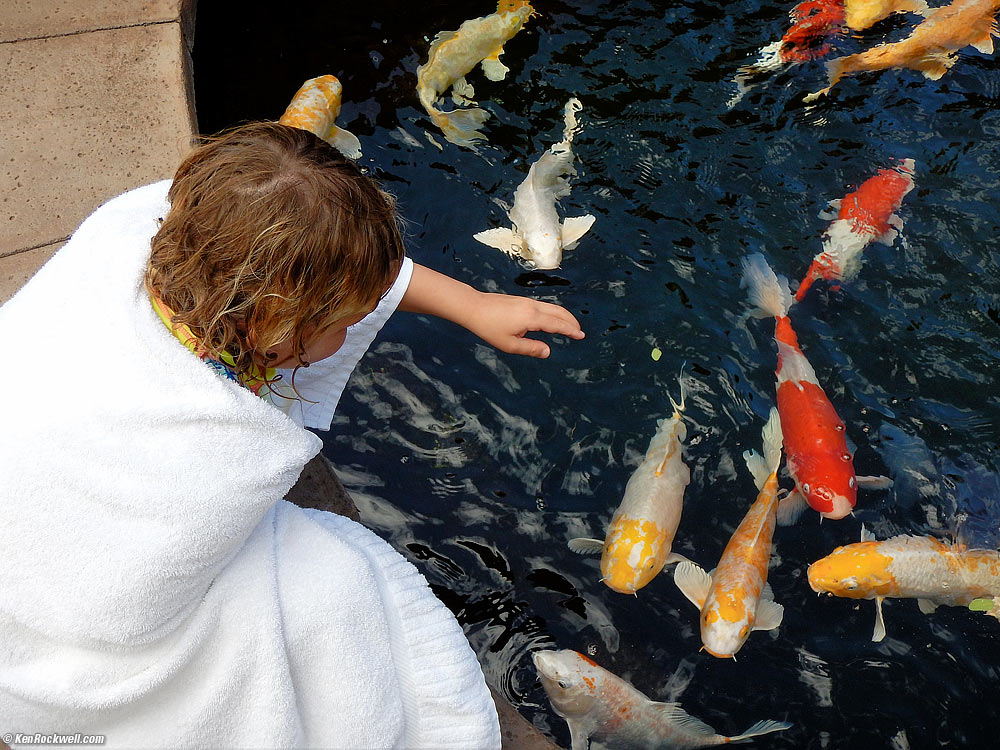 Katie at the Koi Pond