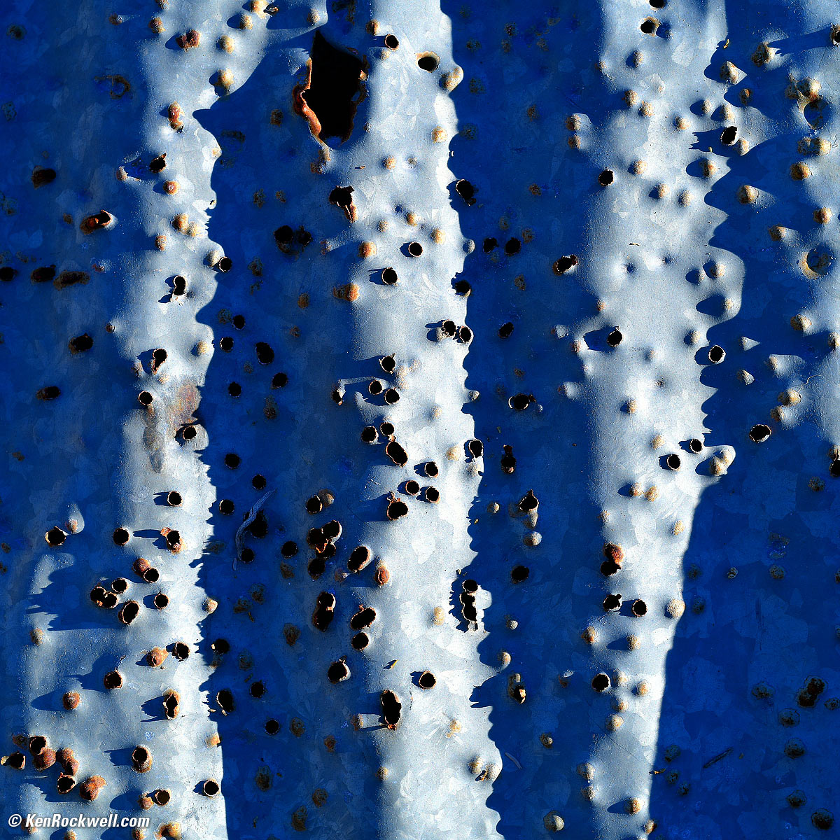 Corrugated Steel with Bullet Holes, Abandoned California Mine