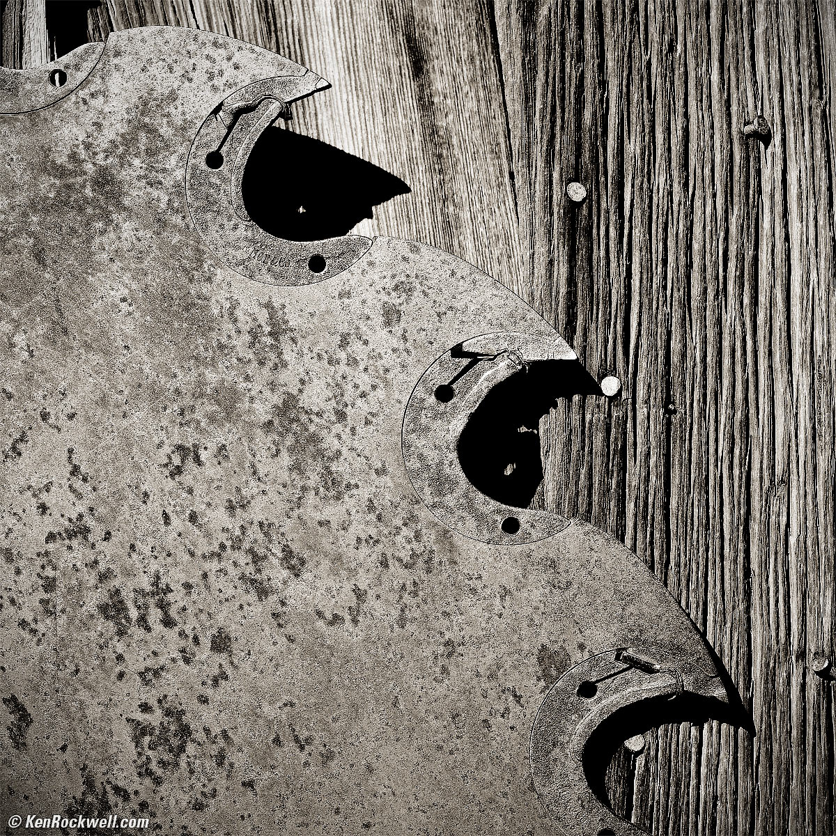 Circular Saw Blade with Teeth on Wooden Door, Bodie